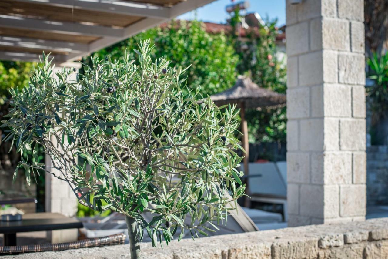 Stamos Hotel Afytos Buitenkant foto